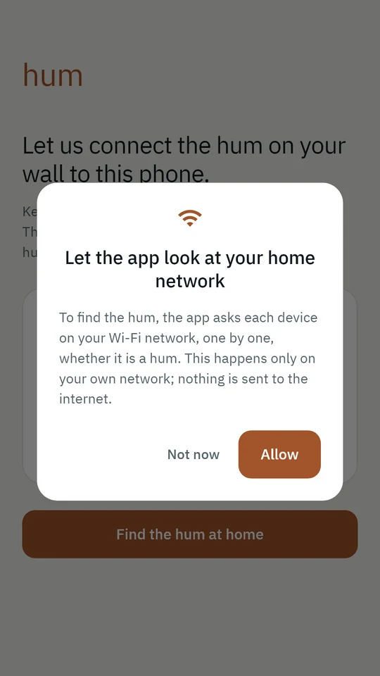 Message box asking permission to look at the home network.